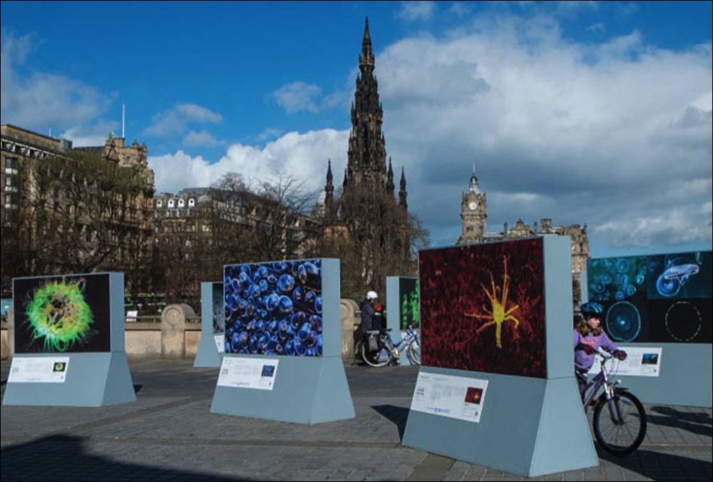 Living Lights Exhibition Edinburgh