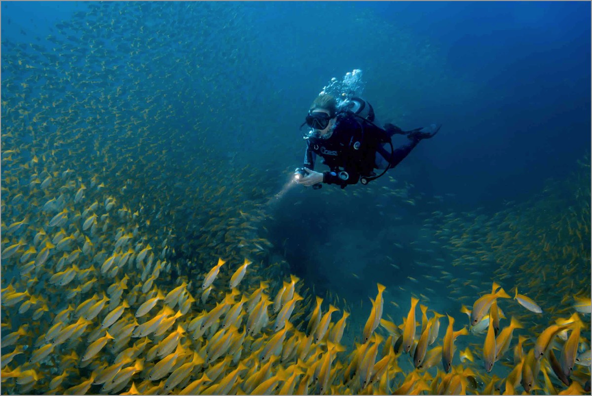 PADI-EANx-Diver-Course